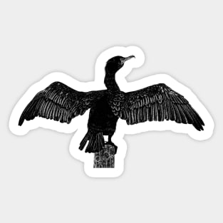 Cormorant drawing Sticker